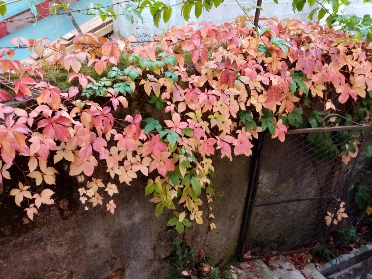 Casa Da Judiaria Velha Ξενοδοχείο Viseu Εξωτερικό φωτογραφία