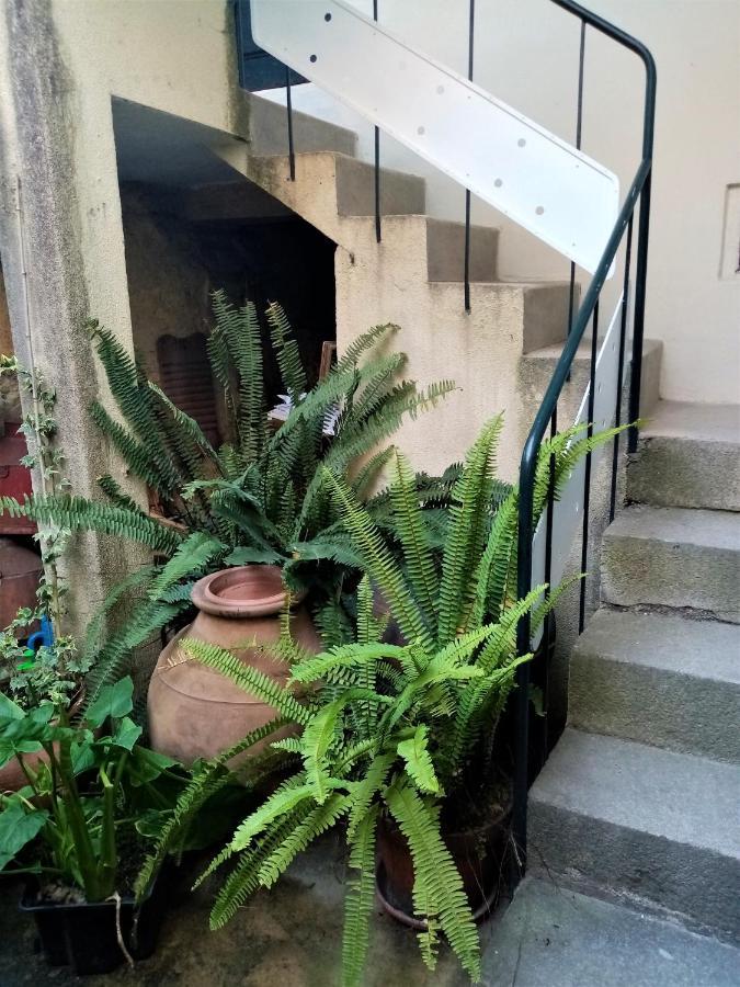 Casa Da Judiaria Velha Ξενοδοχείο Viseu Εξωτερικό φωτογραφία