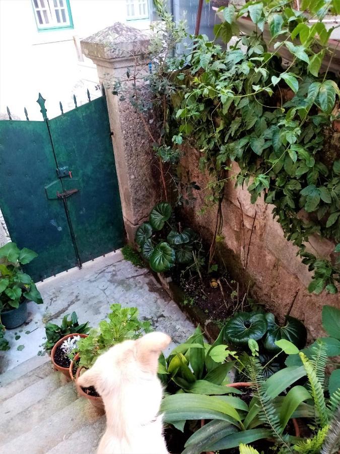 Casa Da Judiaria Velha Ξενοδοχείο Viseu Εξωτερικό φωτογραφία